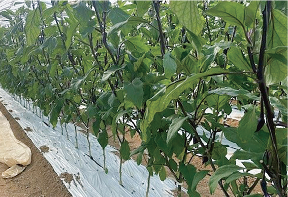 アセット 2@2x.png