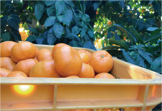 アセット 1@2x.png