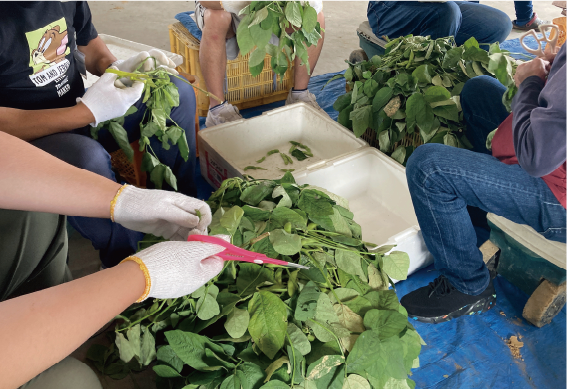 アセット 2@2x.png