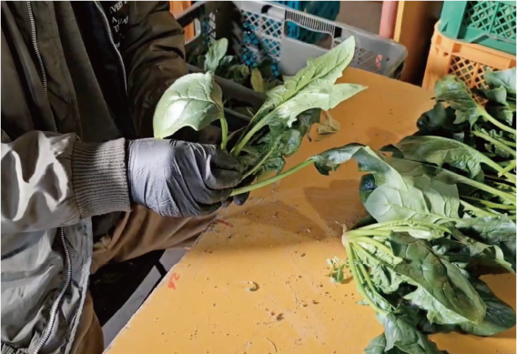 アセット 1@2x.png