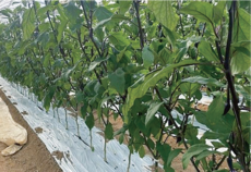 アセット 2@2x.png