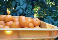 アセット 1@2x.png