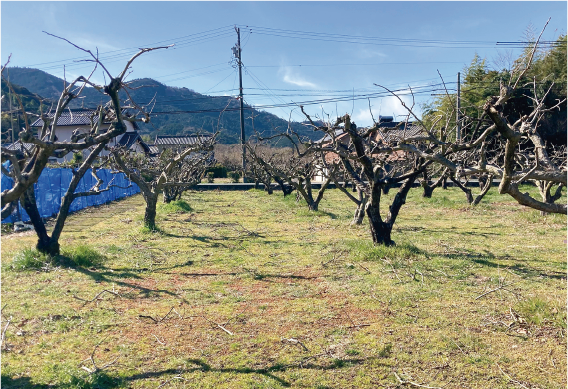 アセット 1@2x.png