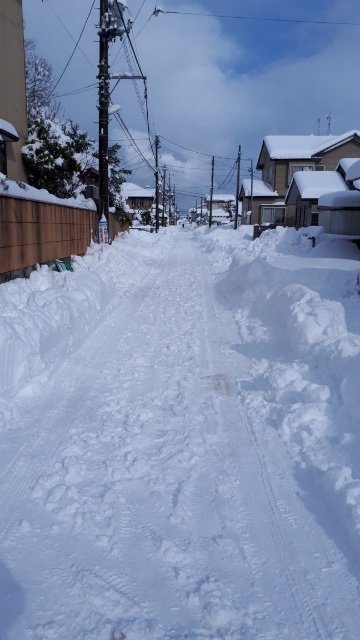 雪の日の近所.jpg