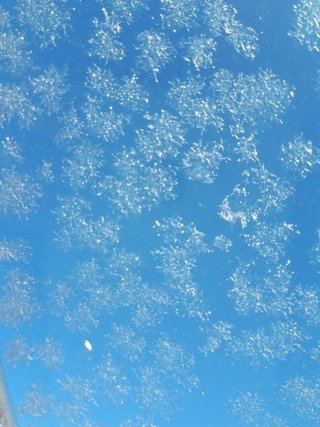 フロントガラスの雪の結晶.jpg