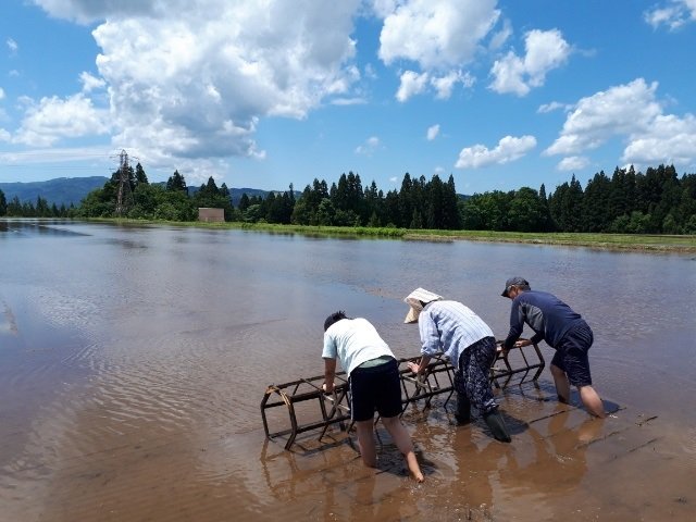 田植え定規その２.jpg