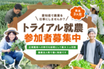 trial-shunou_banner_sp.png