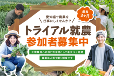 trial-shunou_banner_sp.png