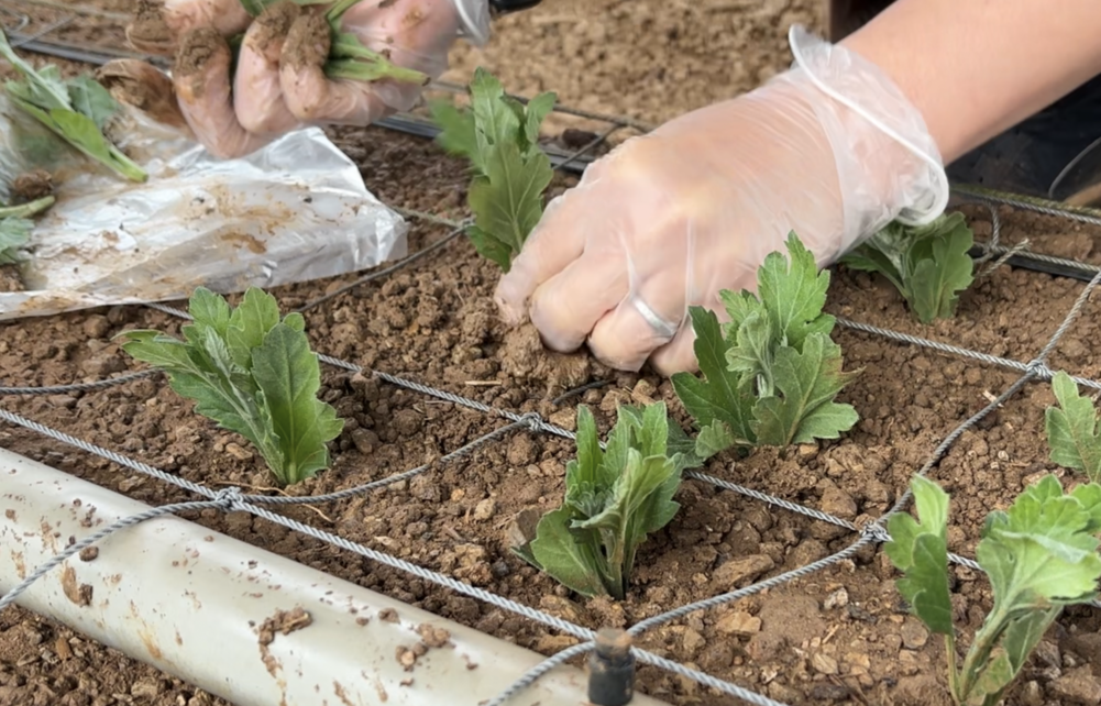 スクリーンショット 2024-09-11 16.23.31.png