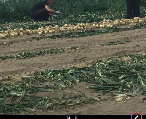 image_picker_7ADD203A-0AD7-44F5-AA1A-E8787BA860A7-30714-00000514471A75A0.jpg