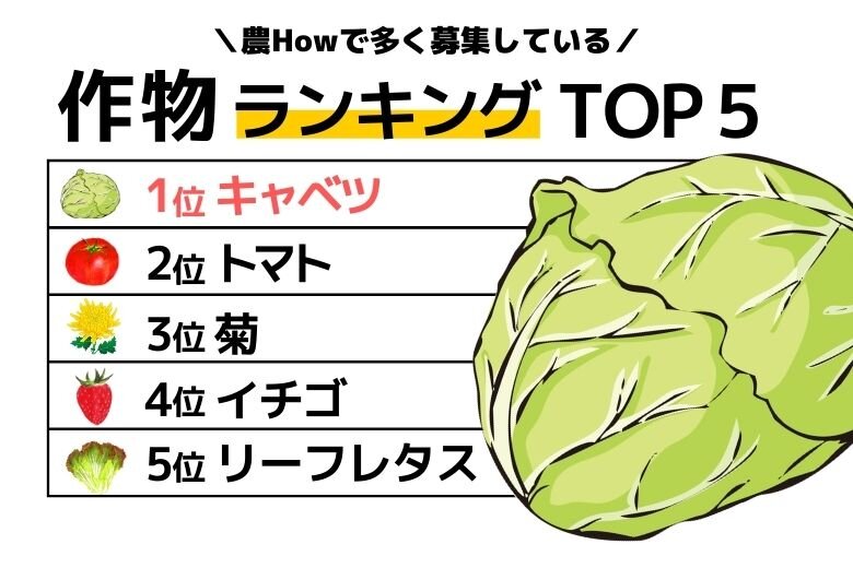 oshigoto_Ranking_1.jpg