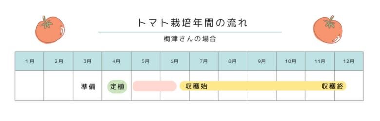 tomato_schedule_nenkan.jpg
