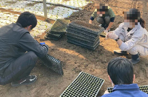 農福連携事例